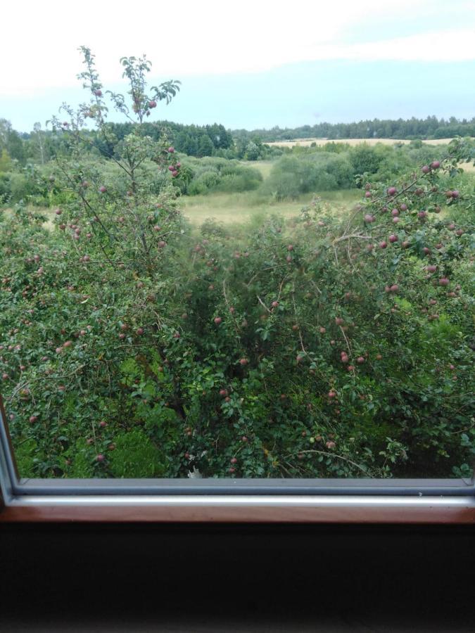 Hotel Viesu Maja Manturi Peipini Esterno foto
